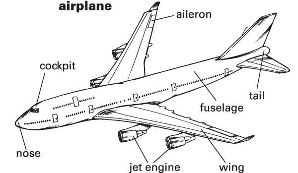 Flight essay topics picture