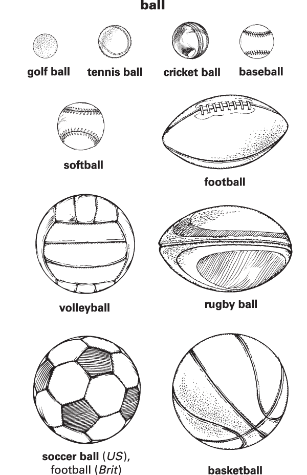 Ball Definition for EnglishLanguage Learners from Merriamster's