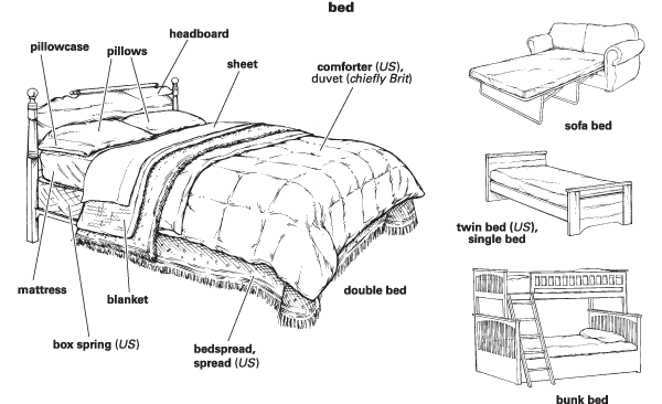 Bed Definition For English Language Learners From Merriam