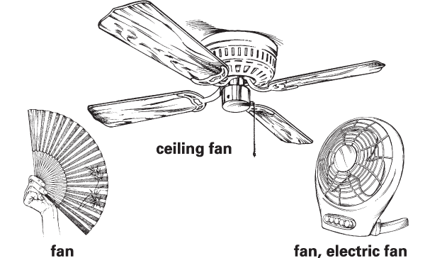 Fan Definition