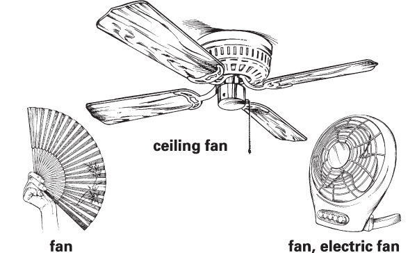 Fan Definition For English Language Learners From Merriam