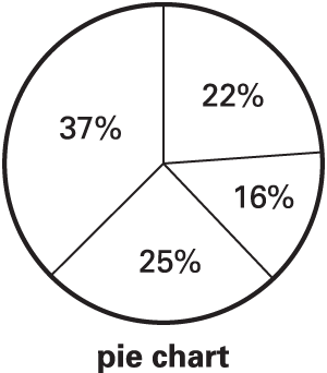 Pie Chart Questions In English