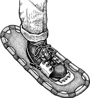 snow shoe