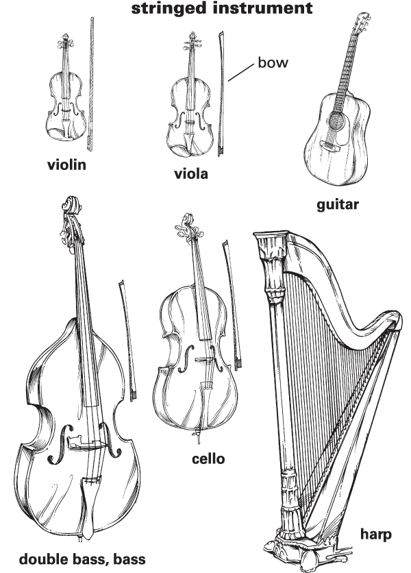 Stringed instrument Definition for EnglishLanguage Learners from