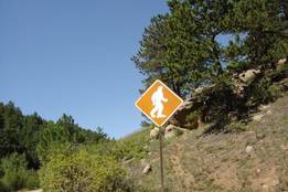 sasquatch-crossing-photo-illusive-or-elusive