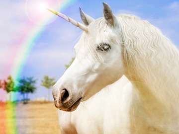 a-beautiful-unicorn