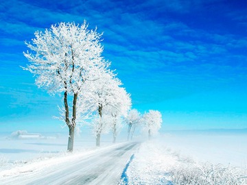 blizzard-scene