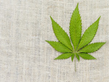 budtender-as-marijuana-goes-legal-so-does-its-slang
