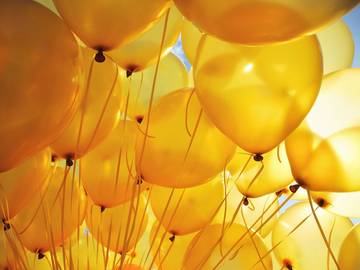bunch-of-yellow-balloons-lit-by-the-sun