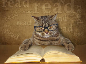 cat-reading