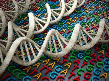 dna-replication