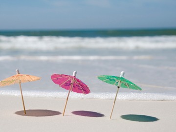estivate-how-animals-deal-with-summer-heat
