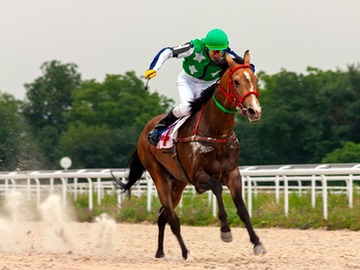 horse-race