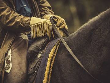 horse-reins-photo