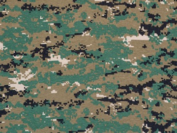 militia armed forces body of citizens