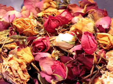 potpourri