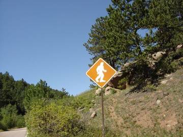 sasquatch-crossing-photo-illusive-or-elusive