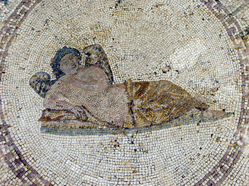 shared history dissimilar words incumbent succumb recumbent