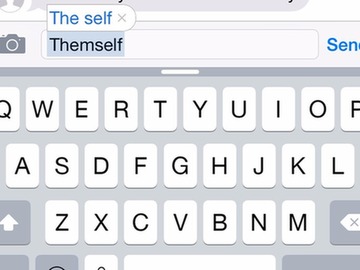 themself