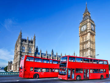 under-the-bus