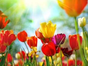 vernal equinox march 20 first day spring
