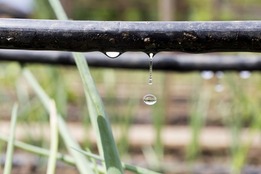 driblet-words-for-small-things-water-drop