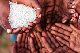 Compassion | Definition of Compassion by Merriam-Webster