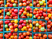 colorful-grape-tomatoes
