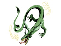 monster-photo-wyvern