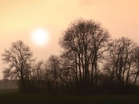 sunset-in-autumn