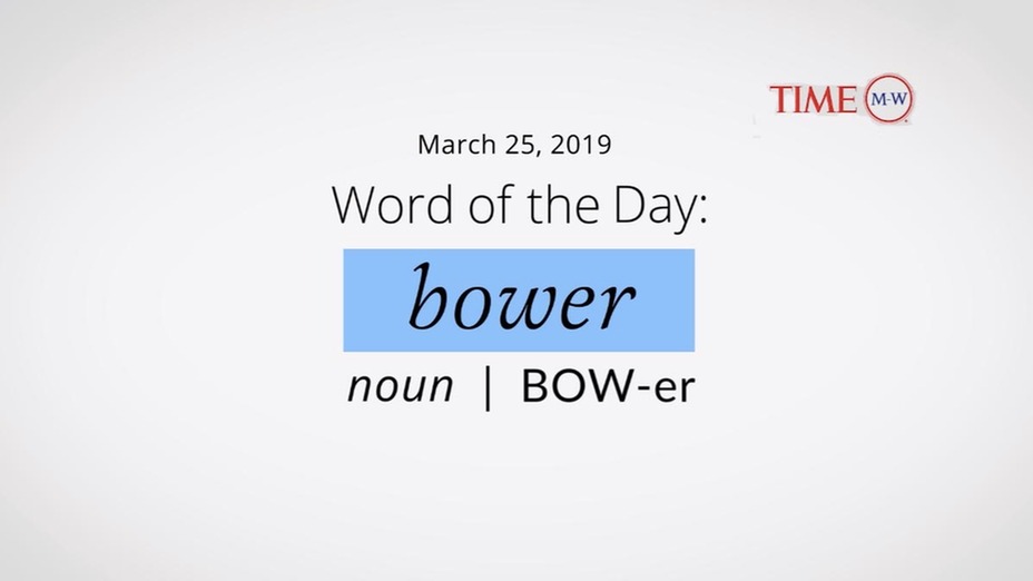 bower word of the day