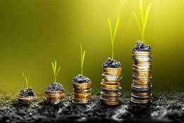 grow definition of grow by merriam webster