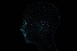 alt-5d41e2e0772ee