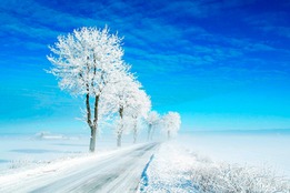 blizzard definition of blizzard by merriam webster