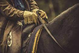 horse-reins-photo