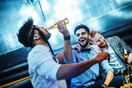 is-it-party-hearty-or-party-hardy-usage