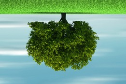 literally-sense-reddit