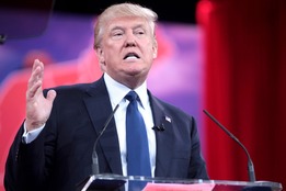 presidential-flubs-trump-make-america-greatly-again