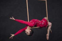 trapeze artist photo