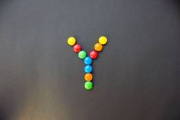 y-photo-is-y-a-vowel