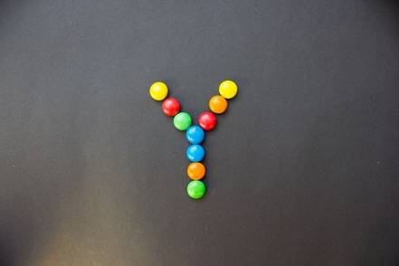 y-photo-is-y-a-vowel