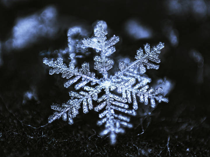 snowflake-3317-983ebf23c2a64cff53b9faccd9eea43c@2x.jpg