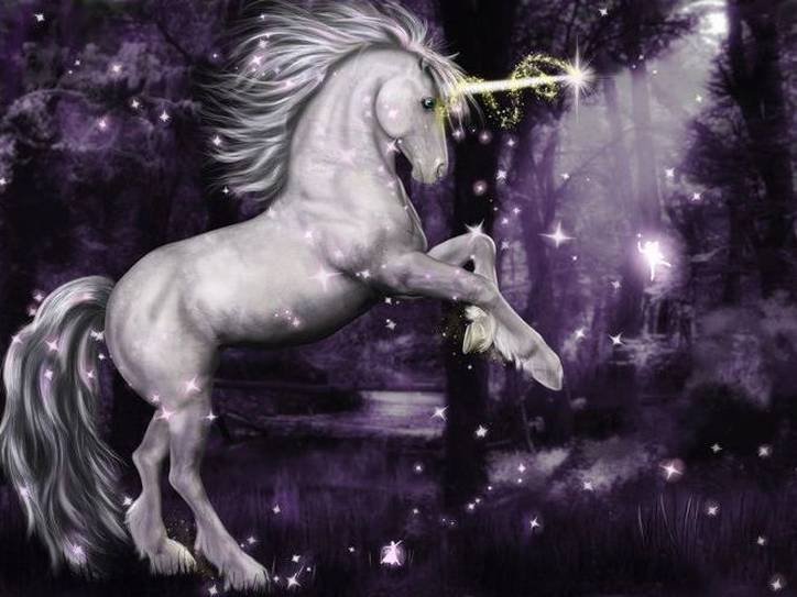 the history of unicorn merriam webster