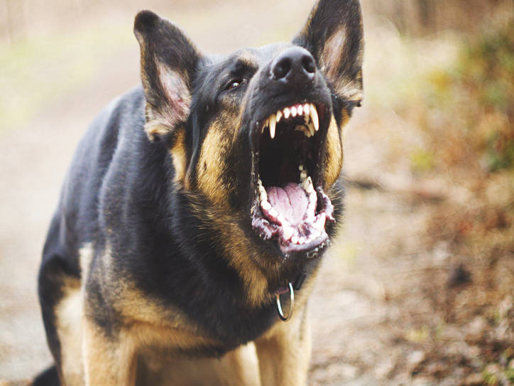 can mad mean angry merriam webster