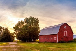 farm definition of farm