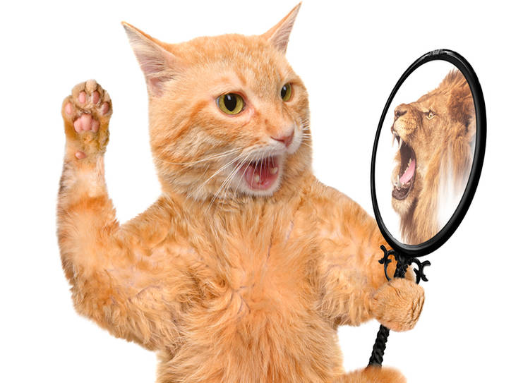 entry meaning x ego That Different  Alter 8 Something Latin Phrases Mean