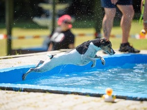 image1344570132