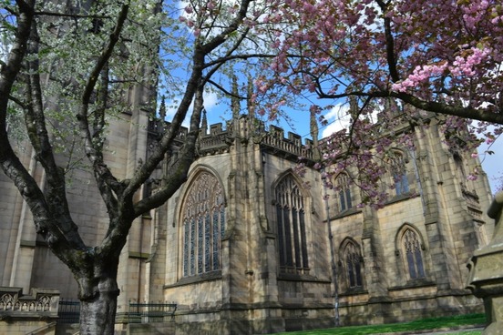 antidisestablishmentarianism