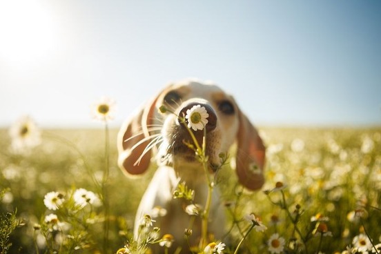 image1406338278