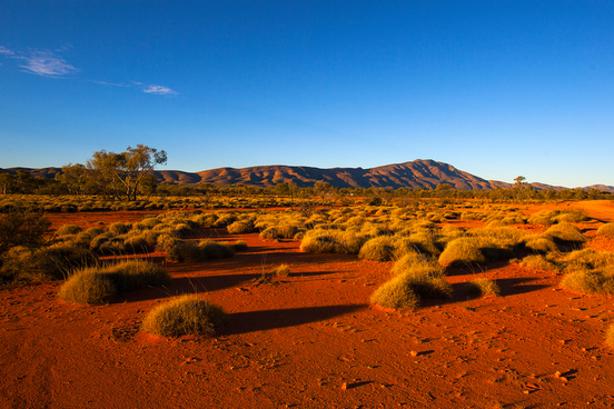 7 aussie words that
